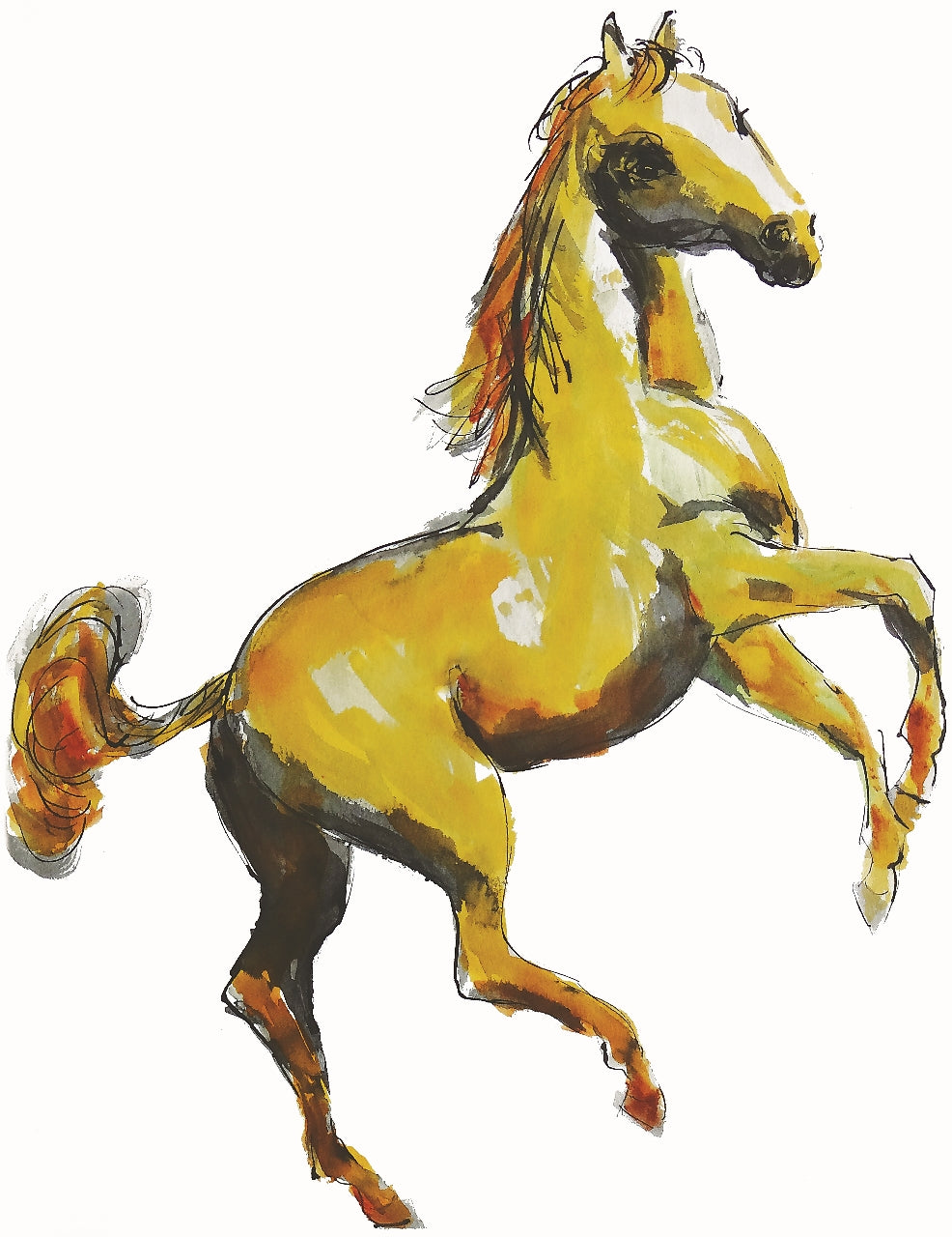 05. Vladimir Vrljić Ankin, "Das Pferd“, 51x40 cm