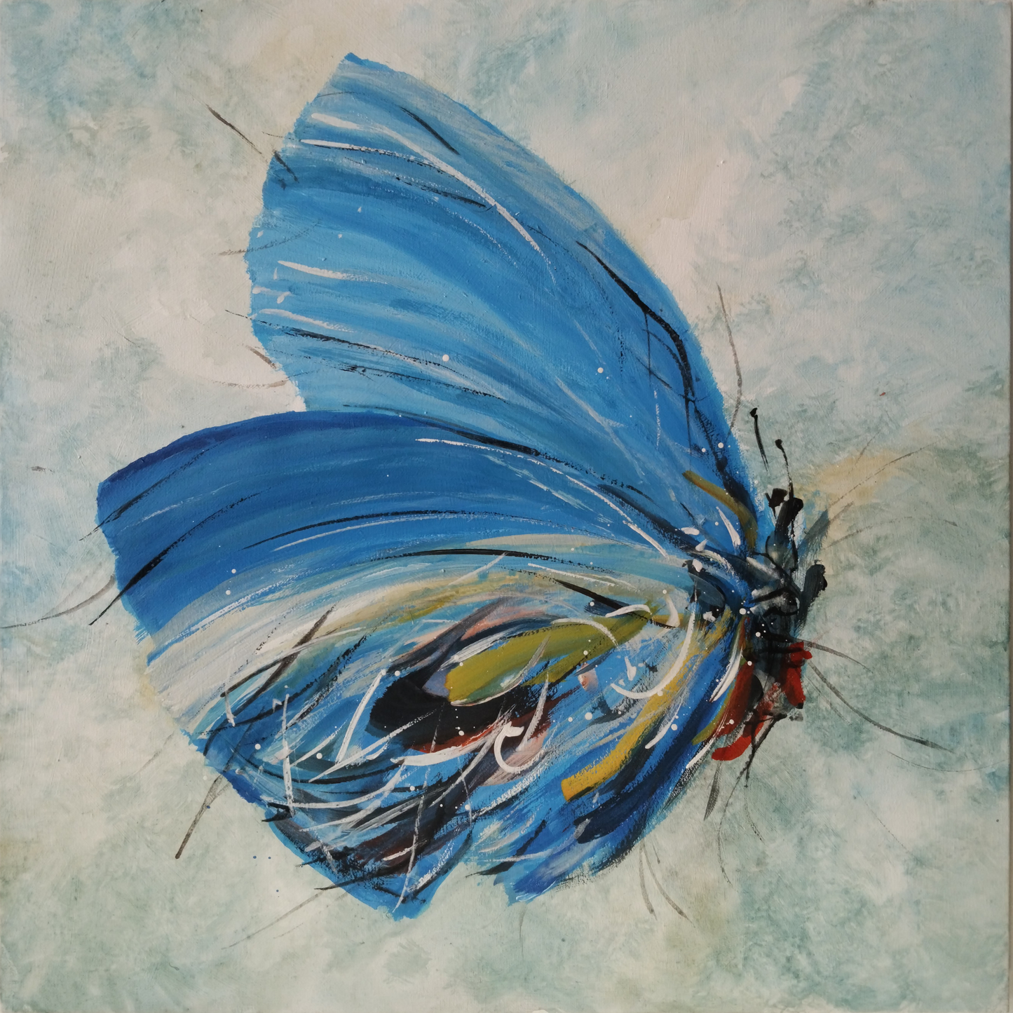 126. Mladen Legin, "Blauer Schmetterling", 42x42 cm